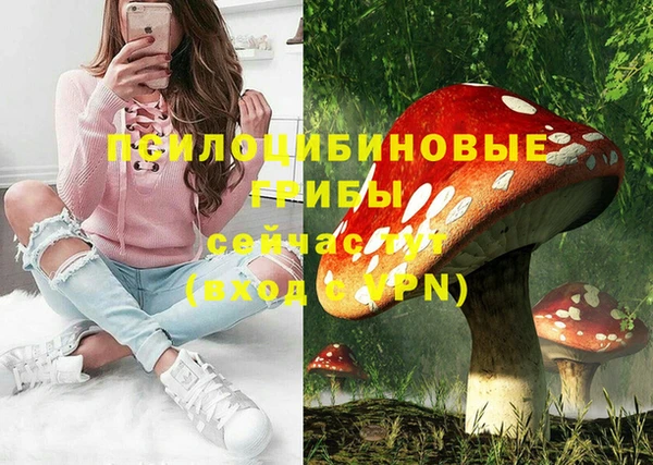 прущие грибы Аркадак
