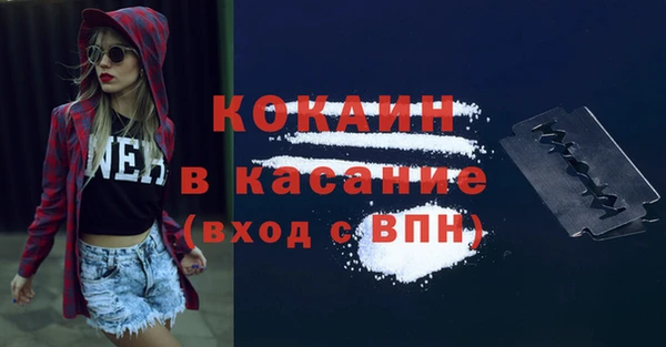 прущие грибы Аркадак