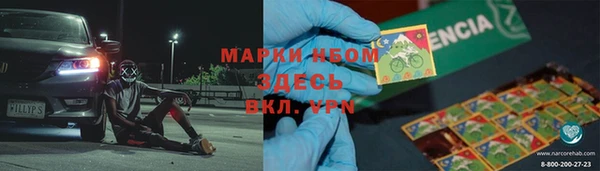 прущие грибы Аркадак