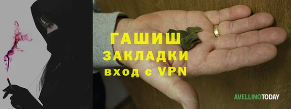 прущие грибы Аркадак