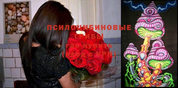 прущие грибы Аркадак