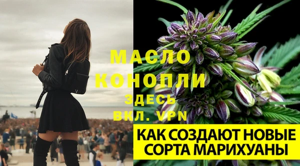 метадон Армянск
