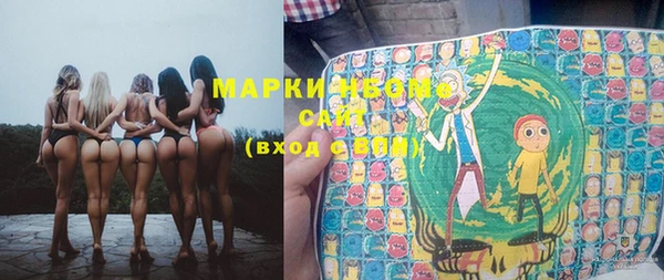 прущие грибы Аркадак