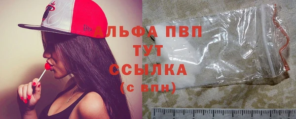 прущие грибы Аркадак