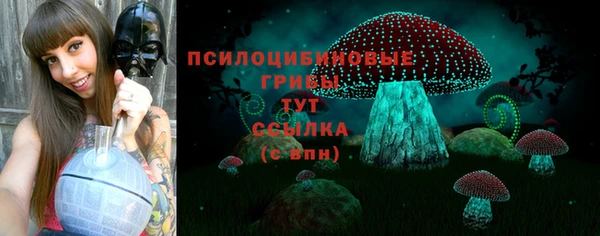 метадон Армянск